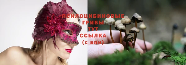 молекула духа Карталы