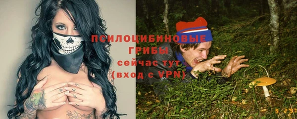 первитин Карпинск